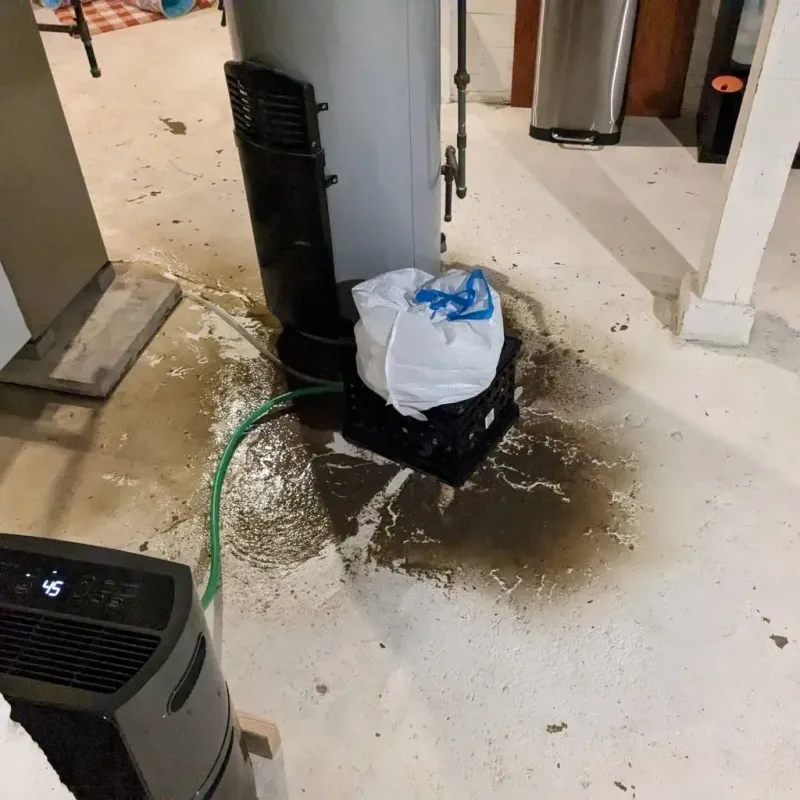 Sewage Backup Cleanup Service in Ada, OH